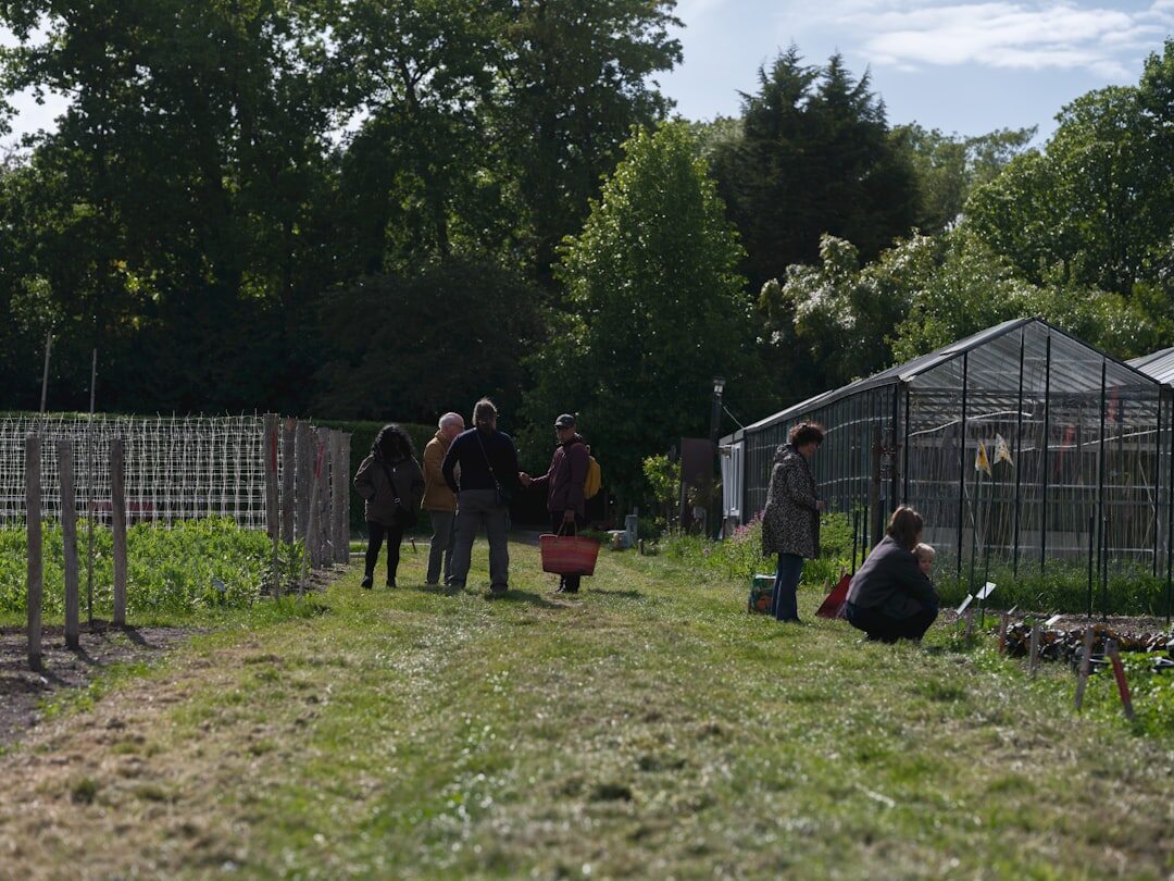 community garden volunteers